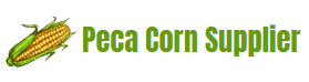 Peca Corn Supplier